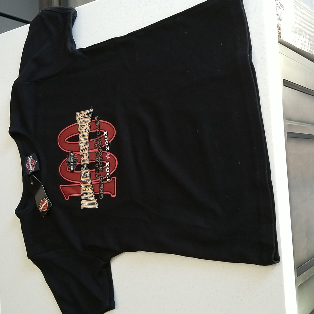 Harley 100th T-Shirt